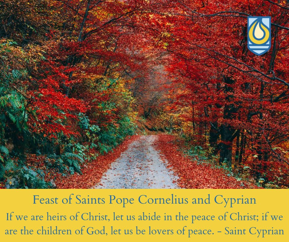 CatholicFndtnMI's tweet photo. Feast of Saints Pope Cornelius and Cyprian.
If we are heirs of Christ, let us abide in the peace of Christ; if we are the children of God, let us be lovers of Peace. -Saint Cyprian
St Cornelius Church St. Cyprian Church
#saints #peace #Christ #utgdetroit https://t.co/jXBYLWYvrG