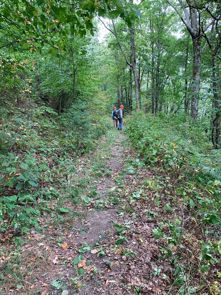 Benton MacKaye Trail tweet media