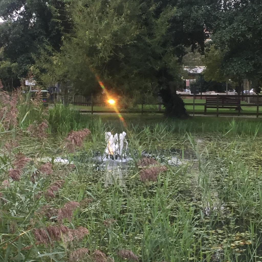 Steve Evans (@steveevans1507) on Twitter photo 