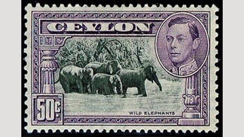 Resources for collectors of Ceylon Stamps and Ceylon Postal History
#stamps #philately

stampdomain.com/country/ceylon/
