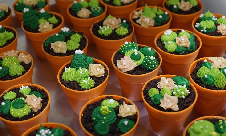 ✨🍰Mondays never SUCC when they’re FULL OF CAKE!🌵✨ #flourshop