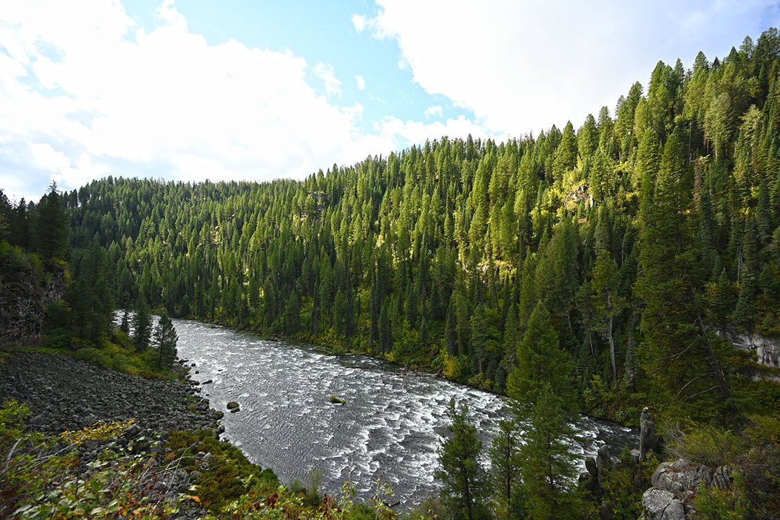 Caribou_Targhee's tweet photo. It's the #FirstDayOfFall and your National Forests are starting to show #Fallcolors. #CTNF https://t.co/DPOS0aqnCl