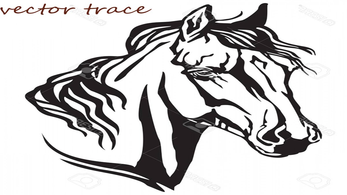 domesticdesign3's tweet image. I am a professional vector tracer. My four years of experience. my twitter visit- @domesticdesign3 
#vectorize #vectorized #vectorizer #adobeillustrator #sunsup #jpgtovector #mellowyellow #graphics #designer  #designskills #cheery #PleaseAWomanIn5Words