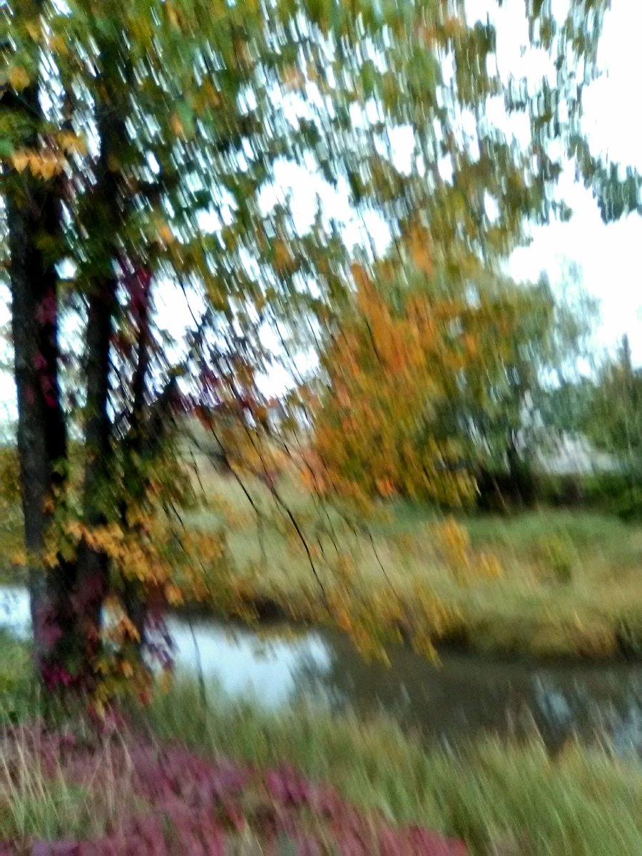 Christi16630034's tweet image. Nature... -Simply beautifull, .