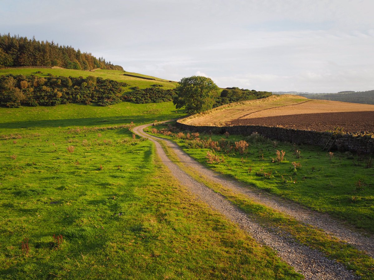 MrWelshes's tweet photo. Day 2 of the #SandstoneWay. Rothbury - Hexham, and into Roman Britain. 88km. 203km all in. A tough, fun, beautiful & brilliant ride across the UK’s BEST county. 😍 Perfect for a #CX w big treads (CrossRide 42’s on mine). Recommended. 😁👌🚴♂️⛰ #Cycling #Northumberland #OldSchoolXC https://t.co/a45m1VHd4i