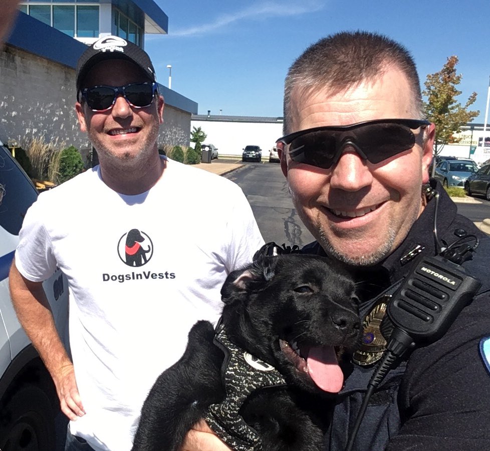 madisonpolice's tweet image. Part of this little lab’s training is to meet people in uniform. Buddy is being trained to go to an autistic child via non-profit Dogsinvests
#dogsinvests