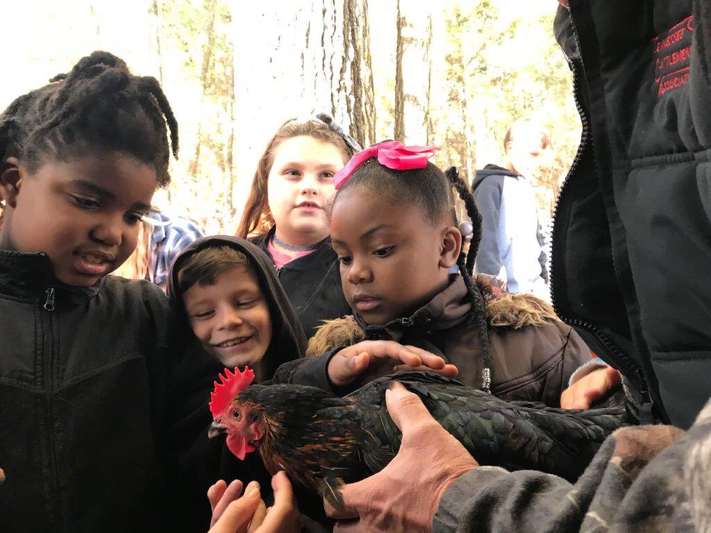 BenCWest's tweet photo. @pollypencilplow @taltywrites @BRICBreaker @UnitedSoy @NatPress @UTAgResearch @UTIAg We have learned at @LoneOaksFarm the power of moments in connecting kids to agriculture.  Classroom instruction is important, but emotional connections only happen through hands-on experiences like this one.  @UTIAg is happy to be partnering with @UnitedSoy in this endeavor. https://t.co/2h9gCEtl4C