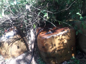 Ver imagen en Twitter