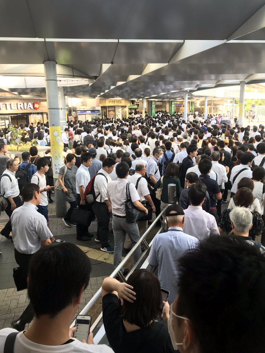綺麗な武蔵野 線 ディズニー 最高の壁紙hd 綺麗な武蔵野 線 ディズニー 最高の壁紙hd