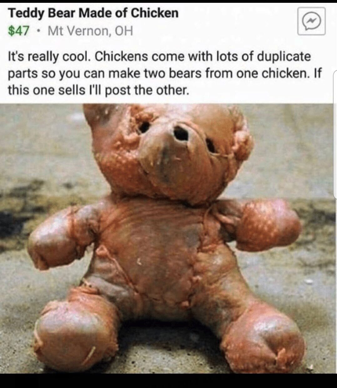 teddy chicken