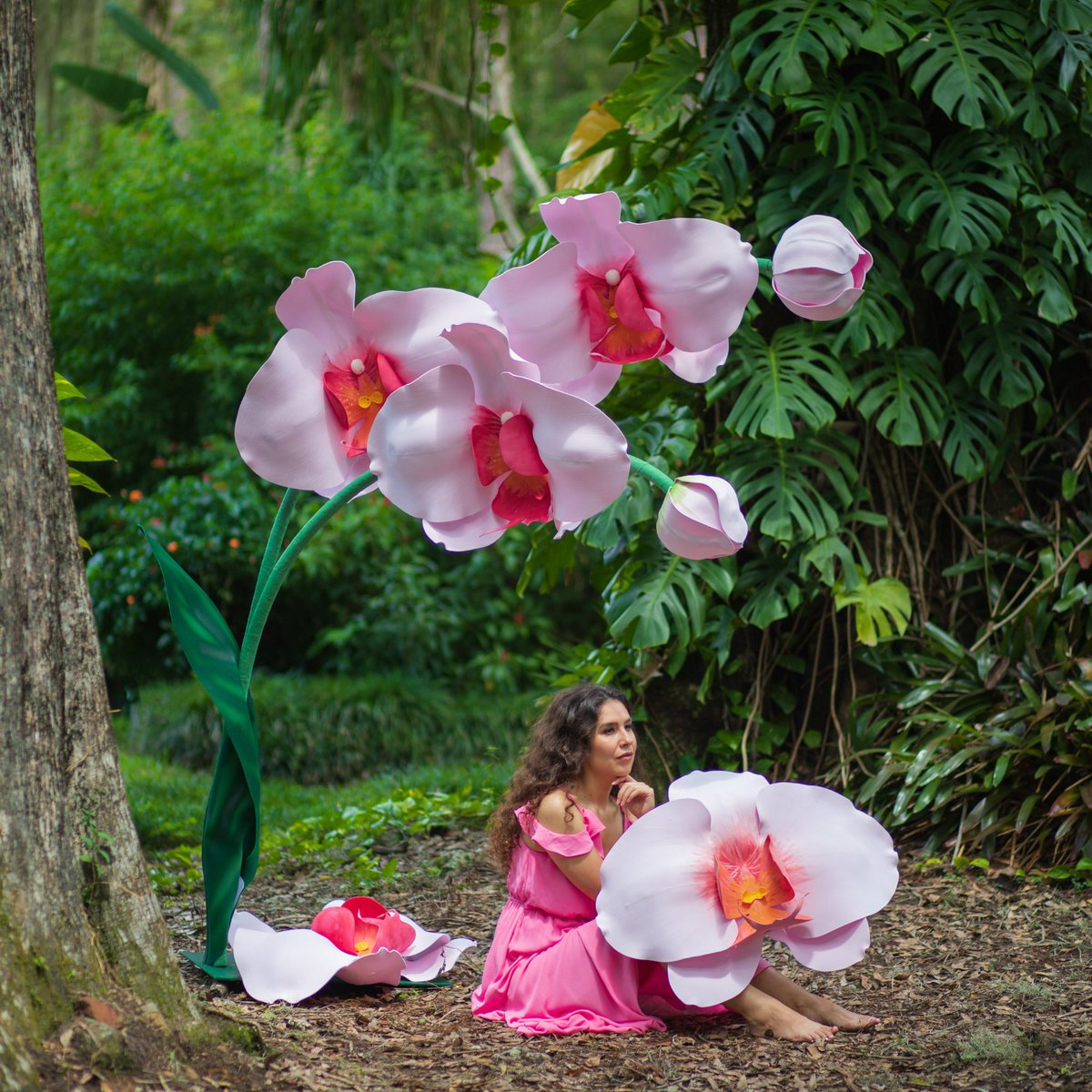 SapphireFlowerp's tweet photo. Rent Big Foam Orchid/Alice in Wonderland/Giant Paper Flowers/Baby Shower /Artificial Flowers/Wedding Flower Wall Backdrop in Tampa Bay FL https://t.co/7Ivop8rNrD #paperflowers #wedding #tampawedding #aliceinwonderland https://t.co/sX2pcv8zsZ