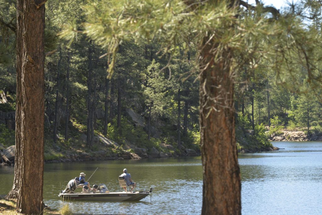 AZGFD's FishAZ tweet media