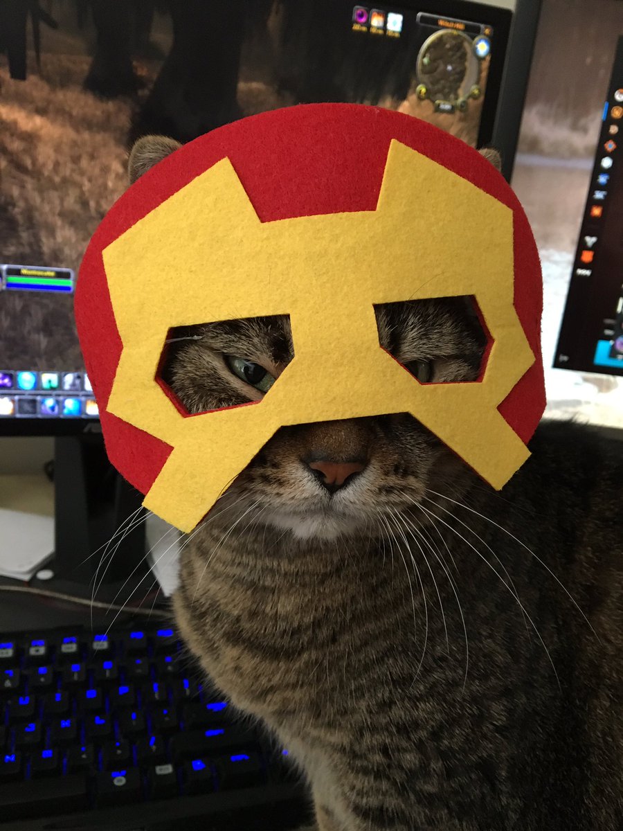momocakeez's tweet photo. Ironmeow
#choppercat #cat #CatsOfTwitter #cats #ironman https://t.co/KGretTx3LQ