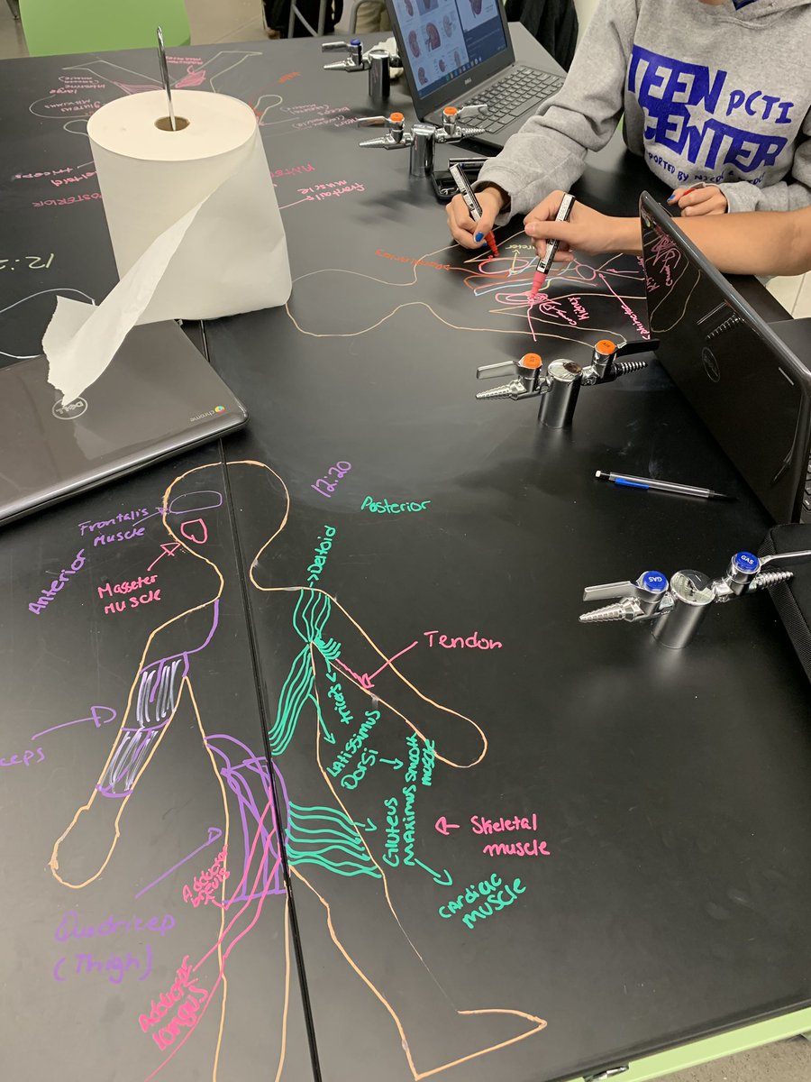 Arc_of_Progress's tweet image. Learned a lot today watching students chart body systems on their lab tables in Dr. De Vore’s biomedical class @DcLstem #PCTVS #ImIn