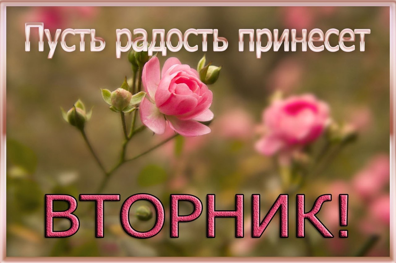 Хорошего вторника успеха в работе
