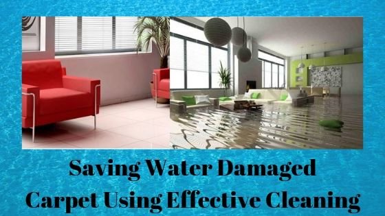Water damage to carpets can be serious if not taken care on time.  Know how hiring #CarpetCleaning in #Brighton can help you save the life of your carpet. Learn detailed insights about the different methodology to get effective cleaning, click here bit.ly/2ml5n1G