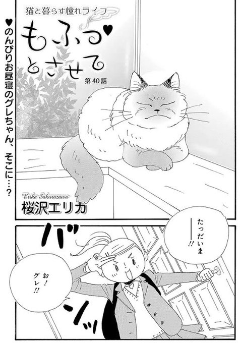 桜沢エリカ を含むマンガ一覧 ツイコミ 仮 桜沢エリカ を含むマンガ一覧 ツイコミ 仮
