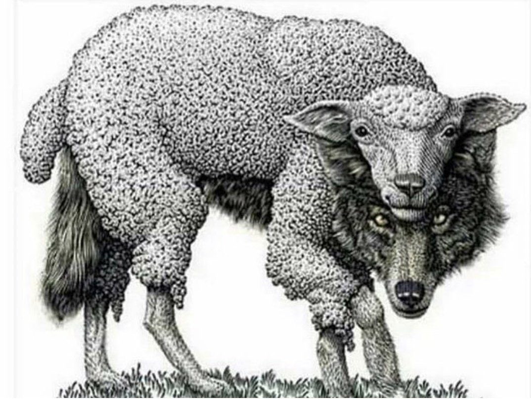 Y0_Y0's tweet image. #dstool