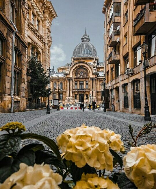 jarawaree's tweet image. Bucharest Romania#Romania#Bucharest