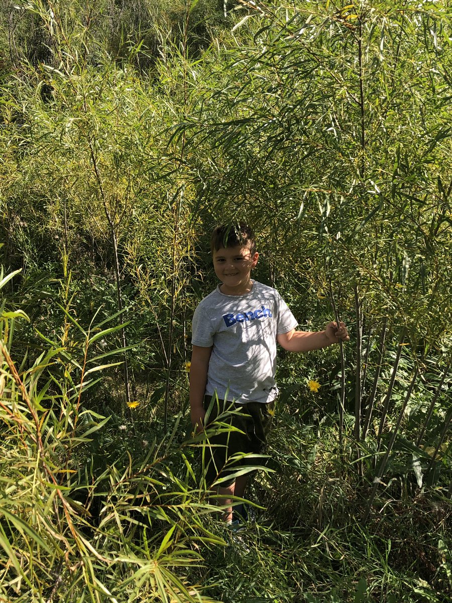 room3adventures's tweet photo. Outdoor adventures in the no mow zone. @WpgBeachSchool https://t.co/lu1boV3nYn