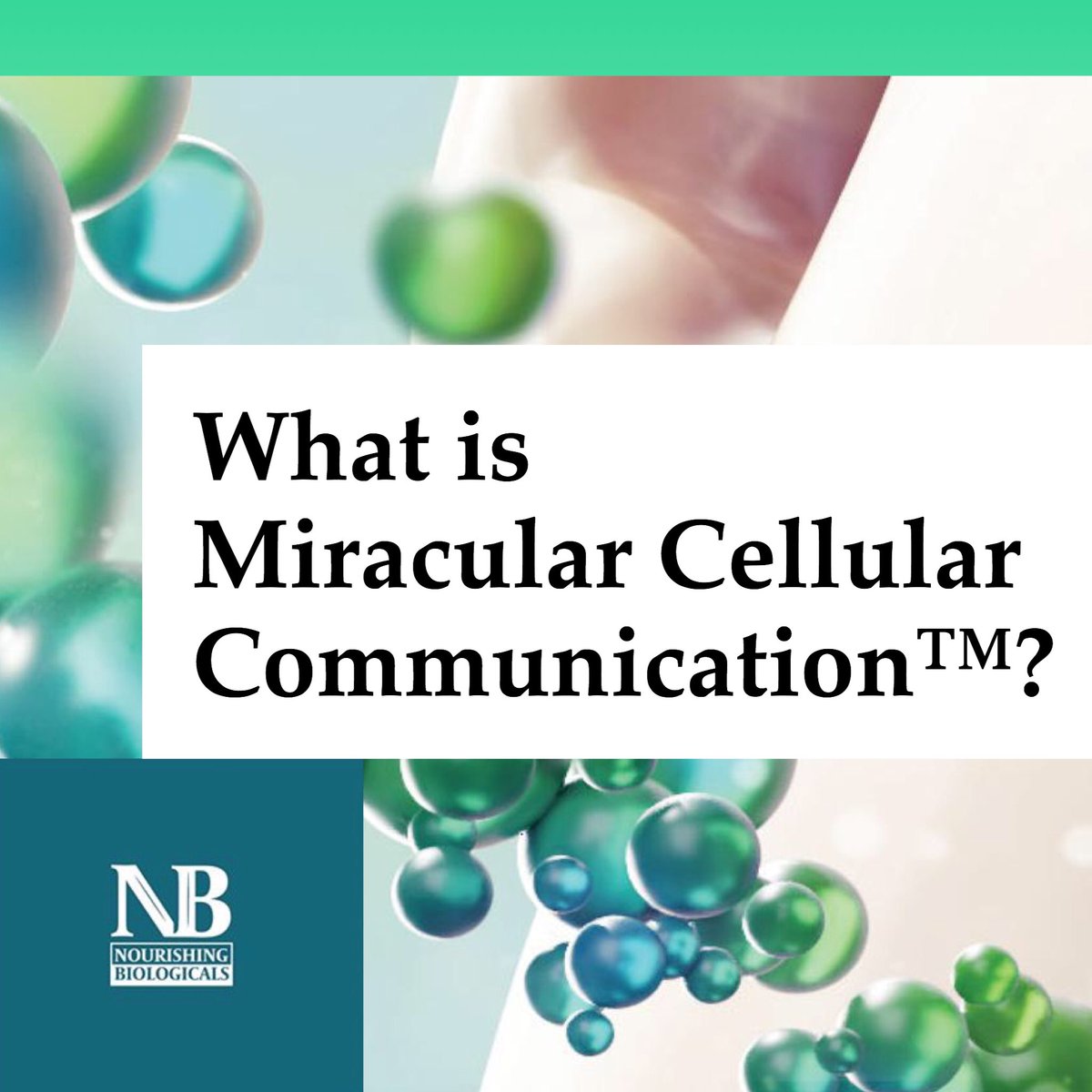 NourishBio's tweet photo. Miracular Cellular Communication™ is a profound discovery that allows our products to effectively communicate with the skin and promote the growth of healthy, youthful skin cells. #science #incredibleresults #miracularcom #NBtribe #skinrejuvenation
https://t.co/zDfsZx1lDl https://t.co/oMDKt0j3yn
