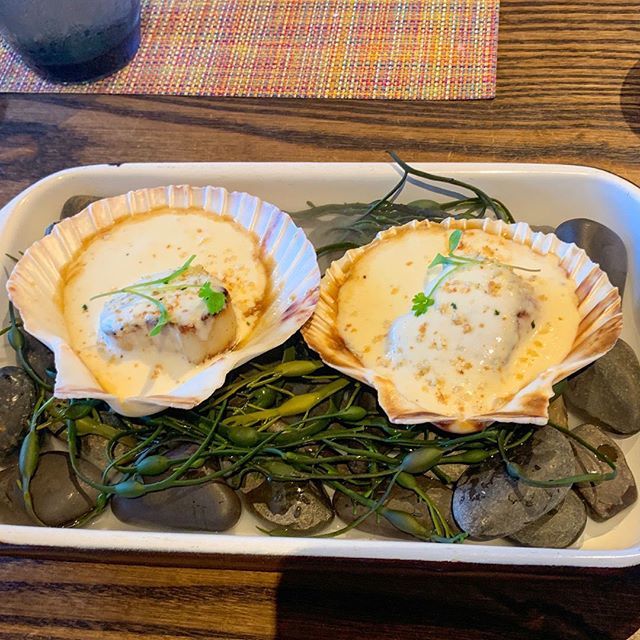 Grilled scallops with a white wine, garlic, parmesan and lime sauce.  From La Mar restaurant in Miami by @gastonacurio .  Wonderful Peruvian restaurant!
.
.
.
#restaurantlife #scallops #grillporn #grilledseafood #peruvianfood #miamifood #seafoodlover #se… ift.tt/2O5kSXt