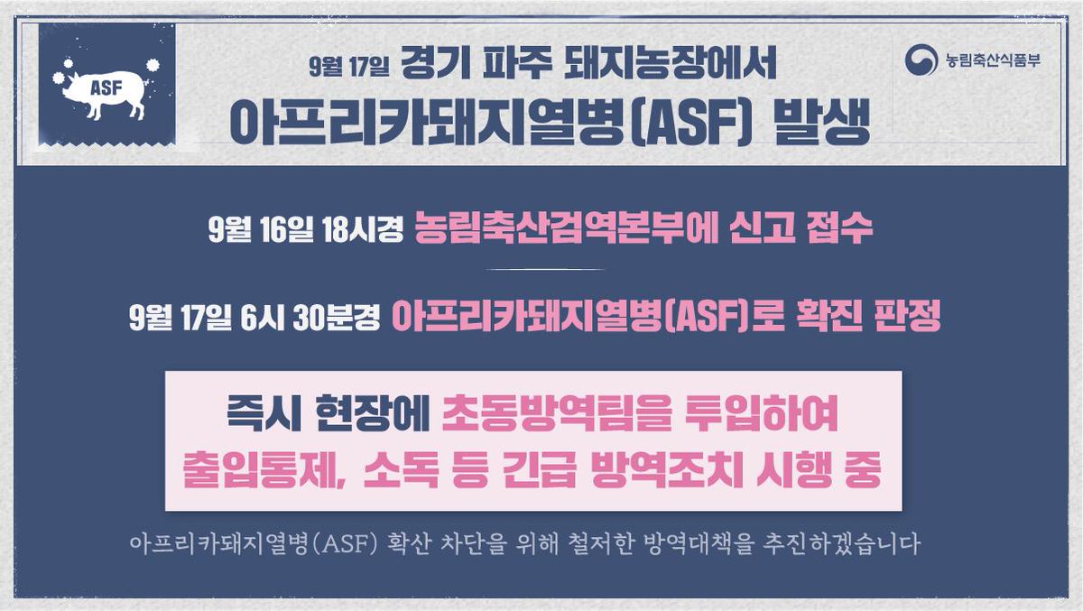 경기 파주 돼지농장에서 아프리카돼지열병이 발생하였고, 즉시 현장에 초동방역팀을 투입하여 출입통제, 소독 등 긴급 방역조치를 시행하였습니다.
#아프리카돼지열병 확산 차단을 위해 철저한 방역대책으로 대응하겠습니다. 국민여러분들께서도 해외에서 축산물을 반입하지 말아주세요