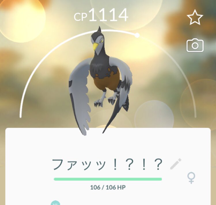 تويتر どれあむ W على تويتر 送るポケモンは何にするか決めたかね はい ケンホロウにします T Co Kxwbex0dut تويتر どれあむ W على تويتر 送るポケモンは何にするか決めたかね はい ケンホロウにします T Co Kxwbex0dut