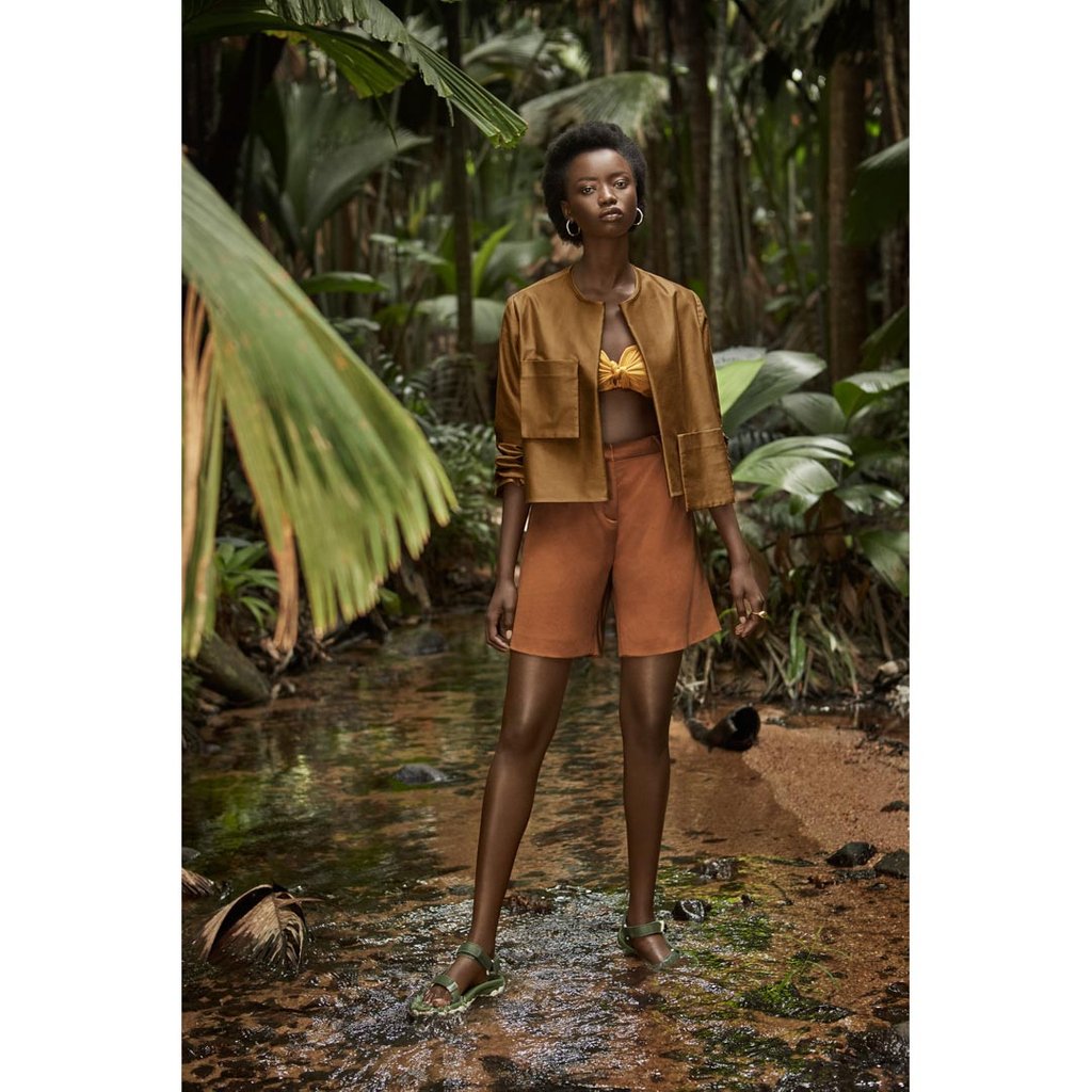 Carl Kapp tweet media