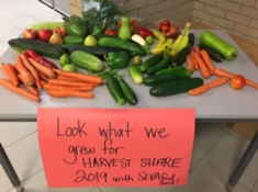 Tomatosphere growing projects at #WalnutGrovePS bring in over 100kg of harvest to share with local SEVA food bank <a href="/PatrikaDaws/">Patrika Daws</a> <a href="/PamelaLone/">MM</a> <a href="/ftullochharvey/">Francine Tulloch-Harvey</a> <a href="/MlleRussell/">Christine Russell</a>