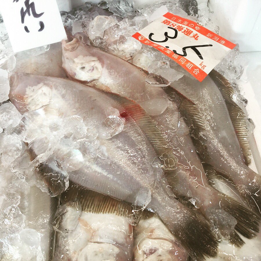 万代島鮮魚センター 公式 1 31 2 2恵方巻販売 V Twitter 本日は入荷少なめな中 新潟産の浅羽カレイが並んでいます タウリンが豊富なので 離乳食にもオススメ ぜひお子様に食べさせてあげて下さいね ๑ ỏ ๑ 新潟県 新潟市 ピアbandai 万代島鮮魚