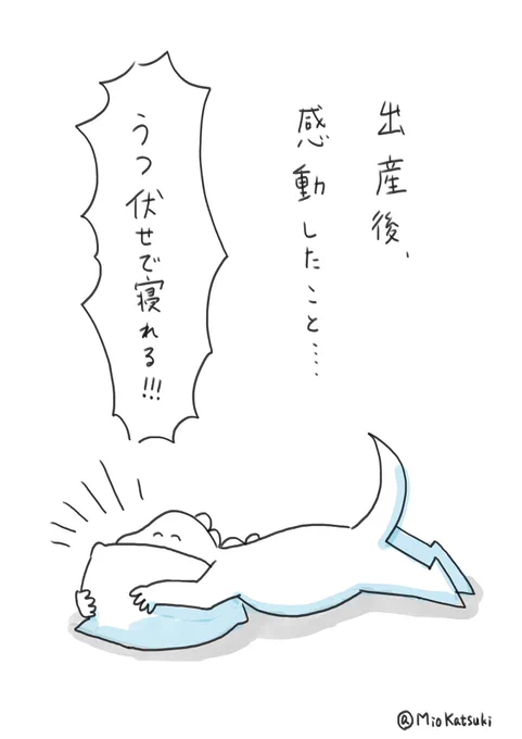 思った以上に絵描く時間が取れない…!赤子に翻弄される毎日です。

#育児絵日記 #妊婦あるある #妊婦絵日記 