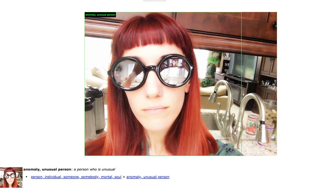 EvieYv's tweet image. #imagenetroulette welp