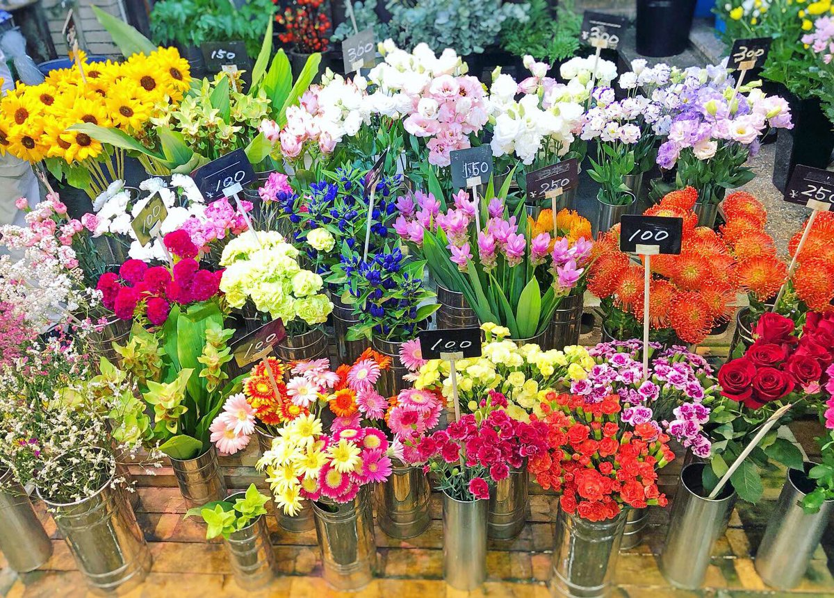 黒沢生花店 今日の花揃え 尼崎市 立花駅 立花市場 花屋 黒沢生花店 切り花 生花 彼岸 トルコキキョウ クルクマ ヒマワリ ピンクッション リンドウ カーネーション ケイトウ かすみ草 ミニバラ バラ スプレーカーネーション ガーベラ