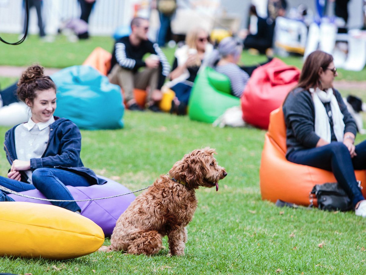 CityofAdelaide's tweet photo. Prepare for a dog filled day at @HoundwaveADL 🐶 featuring music, food, competitions and market stalls 🎈 Saturday 21 Sep 2019 🐾 11am - 4pm, Light Square, FREE ENTRY #houndwave #dogsofadelaide #mustlovedogs https://t.co/1clX9daBG2 https://t.co/SRy76qiW2H