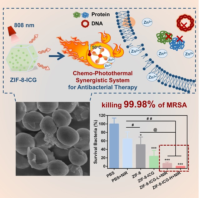 MDPIpharma's tweet photo. #mdpipharmaceutics, Metal–Organic Framework-Based Chemo-#Photothermal #Combinational System for Precise, Rapid, and Efficient Antibacterial #Therapeutics, https://t.co/UN3SDNH0gT https://t.co/9vxc4h9UhZ