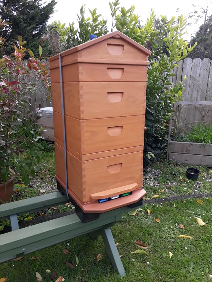 BzzInfinity's tweet photo. Hi Everyone Slavko came home yesterday with two more natural beehives he made .The bottom boards are fixed to the wooden stand so it is stable.
He designed this for me in mind so the lifting is minimal. I can use the stand like a table to work on. It is all environment friendly. https://t.co/VAkhHvunbt