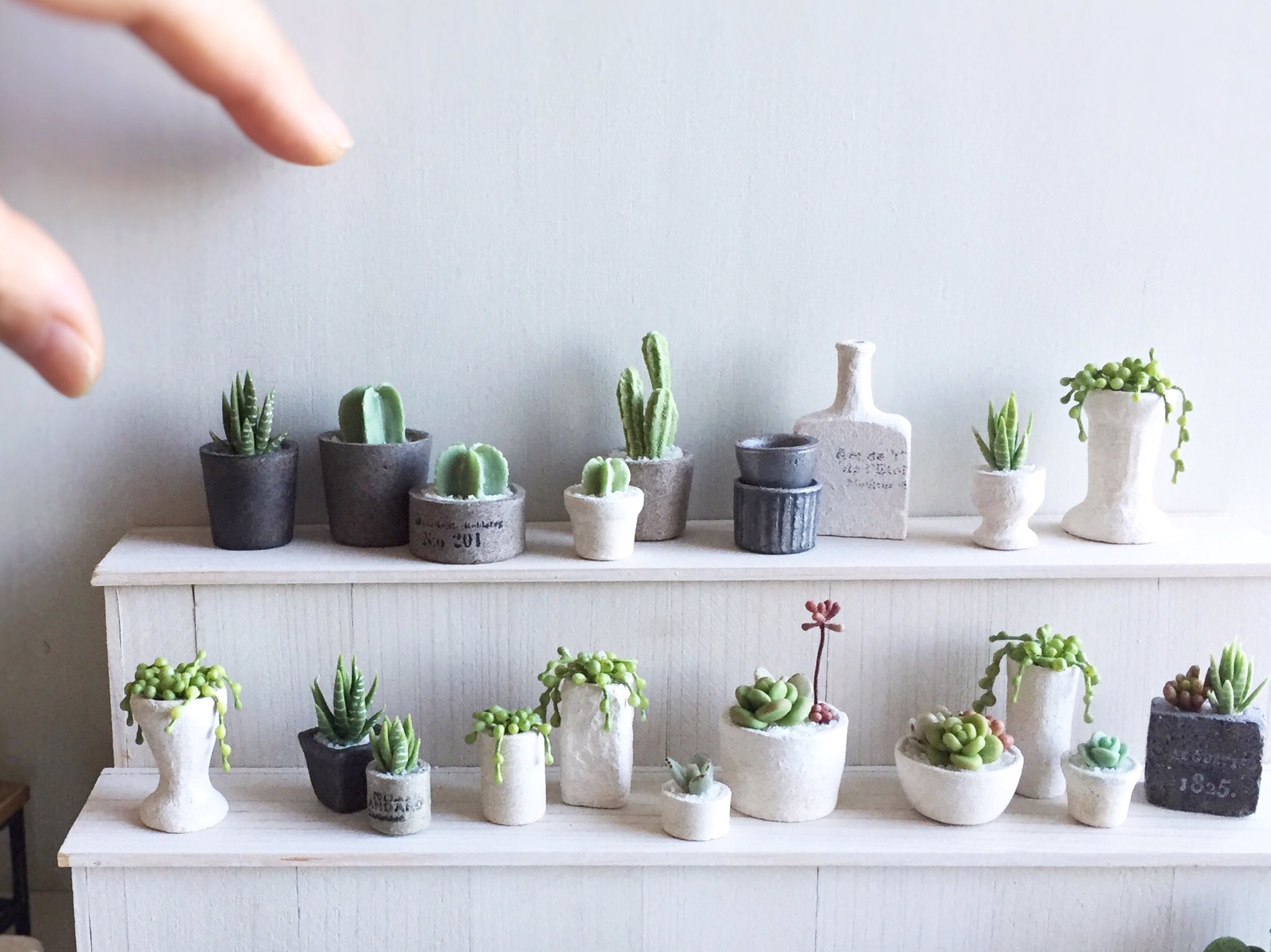 Phylica フィリカ 今週末のイベントに向けて 仕上げています ミニチュア 多肉植物 サボテン 樹脂粘土 オーブン陶土 カントリーフェスタ ビッグルーフ滝沢