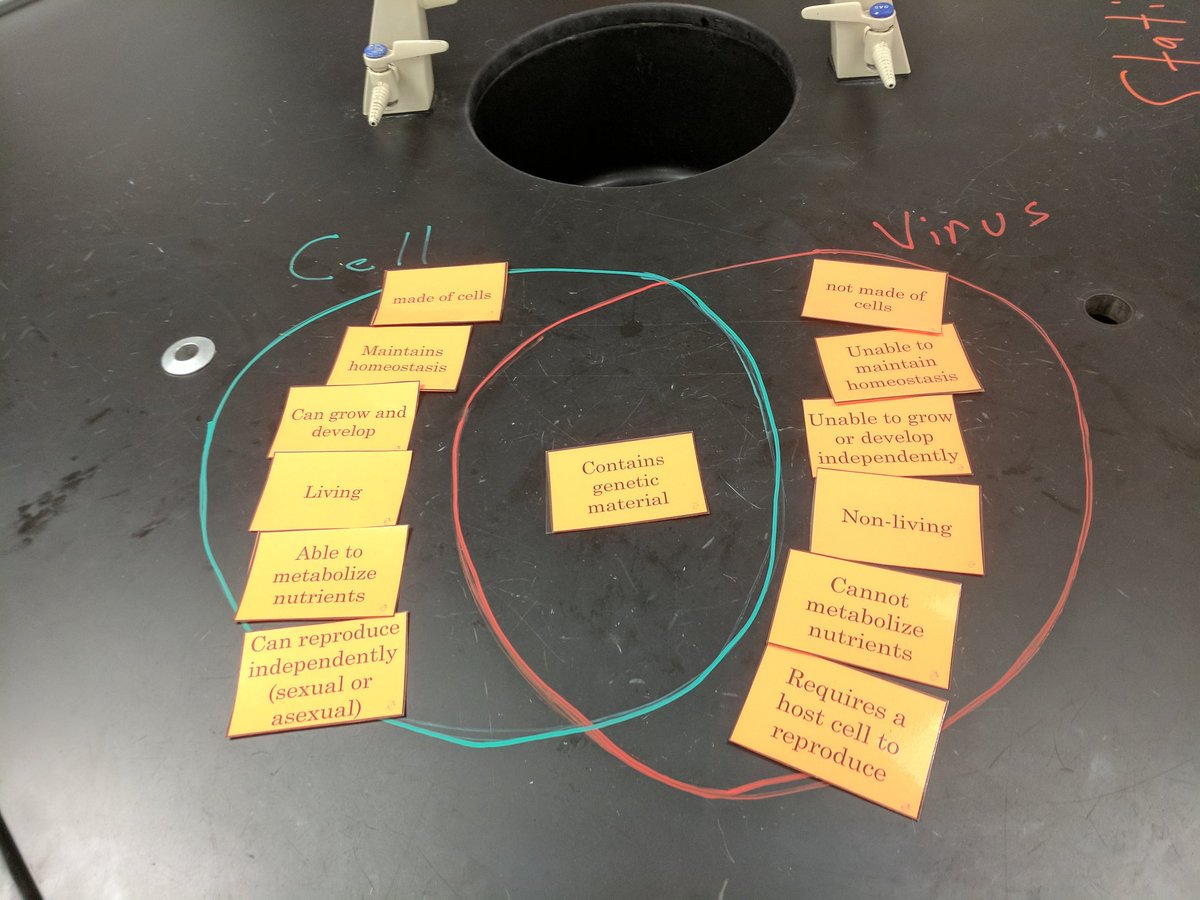 MareshScience's tweet photo. When you see the awesome activities happening in biology classes... #RHSsci #rockwallhighschool #rockwallscience #jaketslearn #iloverockwallisd @Rockwall_HS #DNA #cells #memory https://t.co/UXUguLPnjz