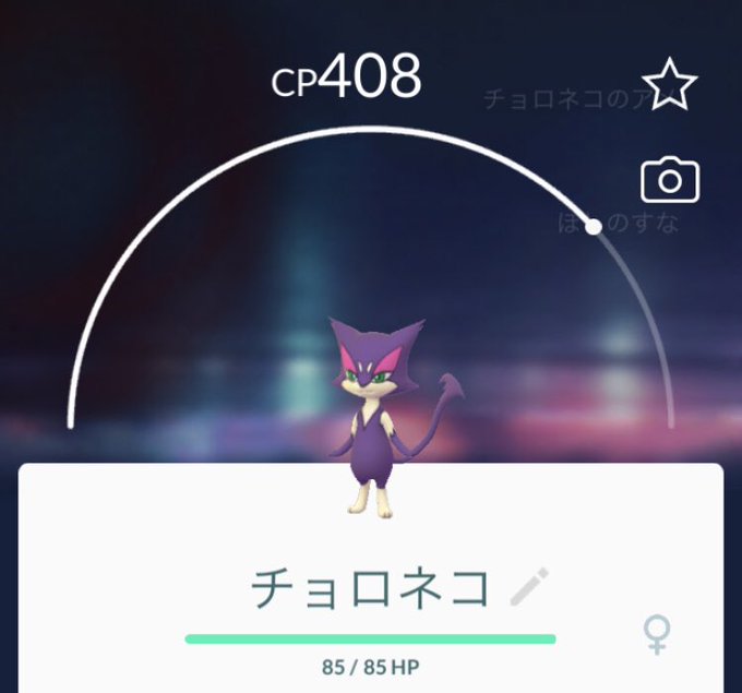 レパルダスのtwitterイラスト検索結果