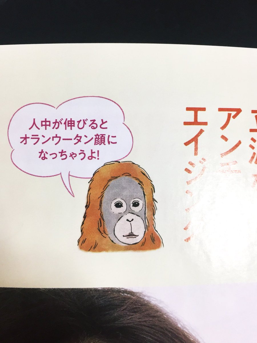 本日発売の美ST「人中キュッと美容」のページにて、小さく一点イラストを描いています。描く機会が滅多に無いオランウータン🙊!(しかも女性誌で)可愛く仕上げました♡
この一点のためだけにイラストレーターを一から探す編集さんがすごい…!
人中は鼻の下の長さで、ここが老け顔のポイント👆 