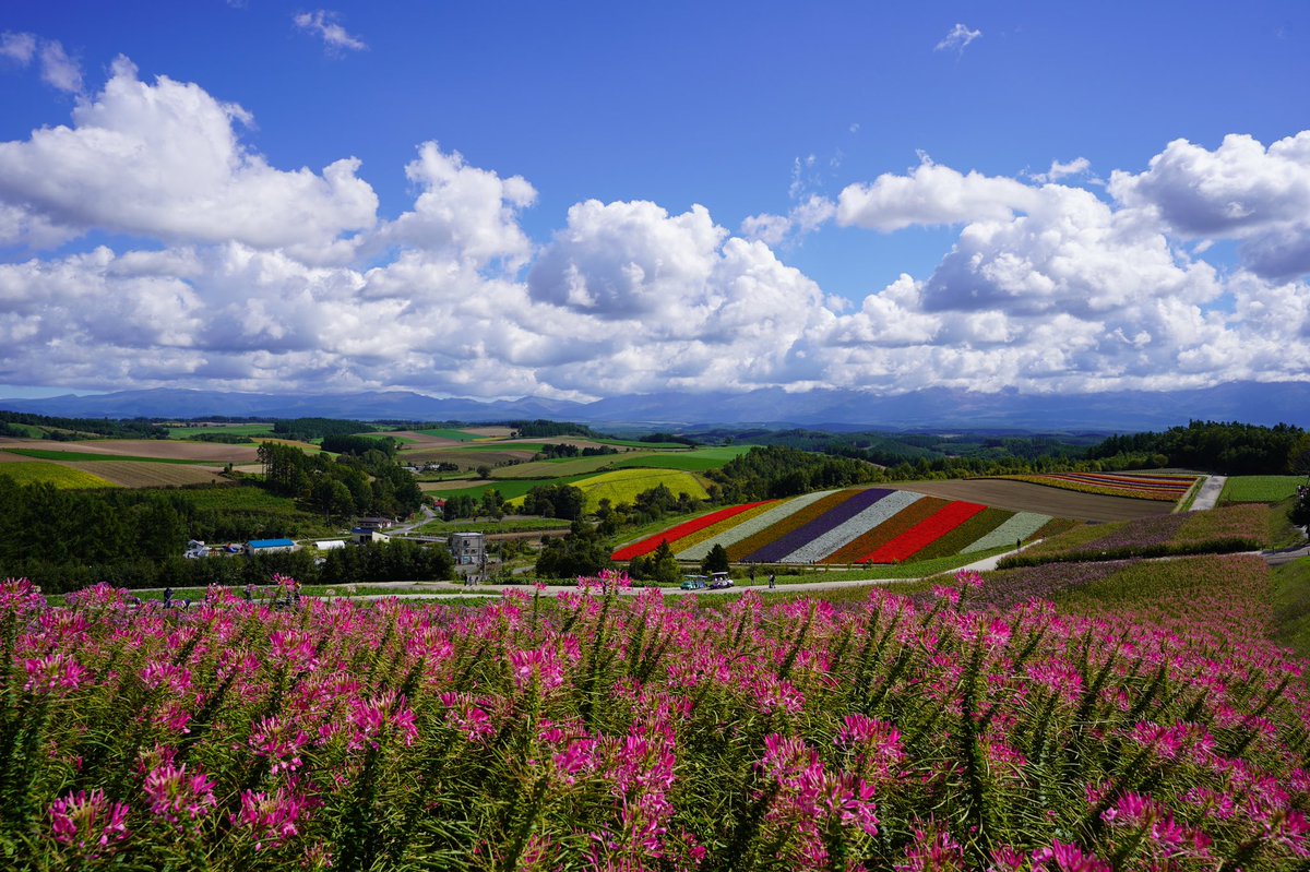 Takacchy 絵になる景色とはこのことですね いつ来ても美しい景色です Tamron 17 28mm F2 8 北海道 Hokkaido 美瑛 Biei Bemybiei 四季彩の丘 iii Sonyalpha Sonya7iii Tamron A046 Tamron1728 T Co Be6uaowncn