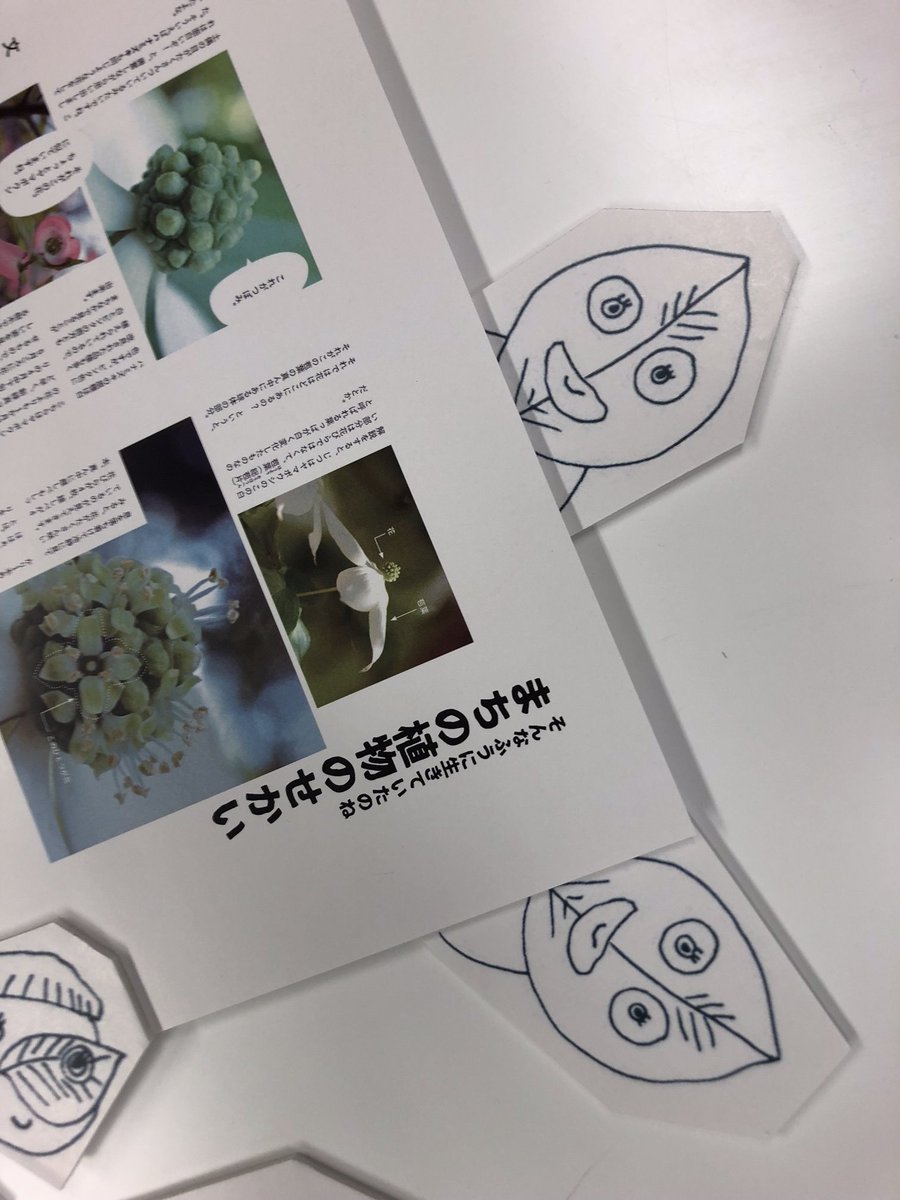 雷鳥社 Pa Twitter 鈴木純さんの そんなふうに生きていたのね まちの植物のせかい のパネルをつくりました 自由に使える 植物観察家のイラストミニパネルもあります 書店さんで販促に使っていただけますように