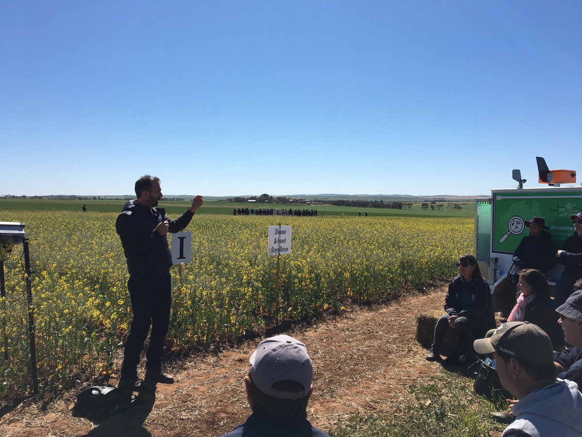 Jessica Lye tweet media