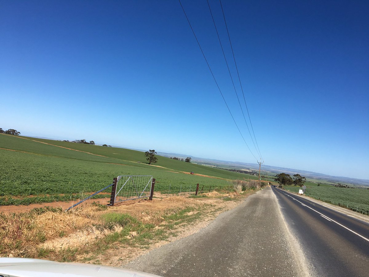 Jessica Lye tweet media