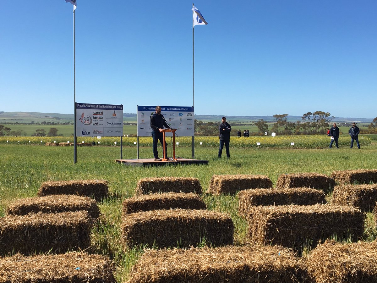 Jessica Lye tweet media