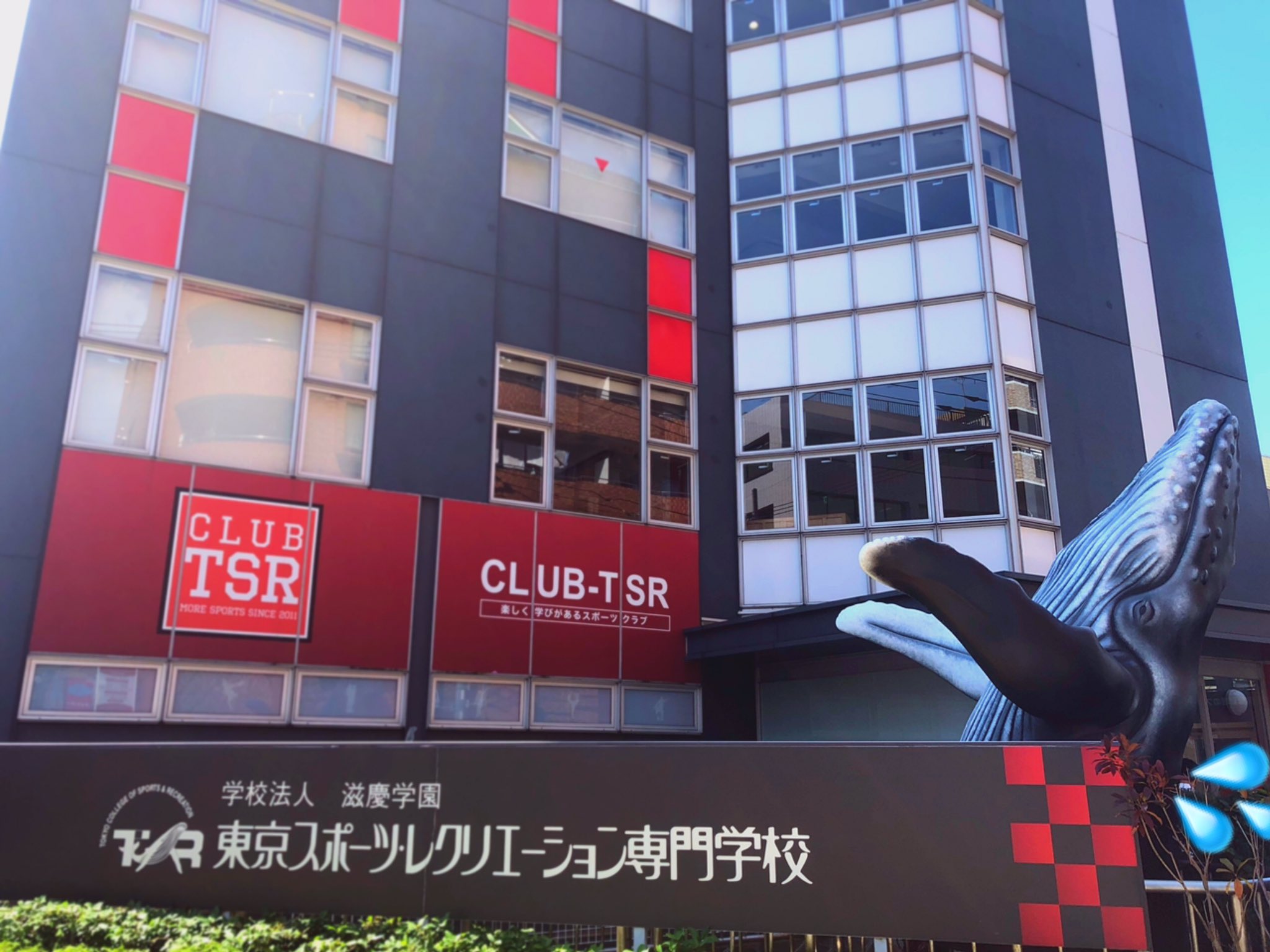 東京スポーツ レクリエーション 専門学校 No Twitter Tsrにクジラが帰ってきました 学校のシンボルおかえり 新たなインスタスポット説 是非お立ち寄りください 毎週末オープンキャンパス開催してます スポーツの学校 スポーツを仕事に クジラの 東京スポーツ レクリエーション 専門学校 No Twitter Tsrにクジラが帰ってきました 学校のシンボルおかえり 新たなインスタスポット説 是非お立ち寄りください 毎週末オープンキャンパス開催してます スポーツの学校 スポーツを仕事に クジラの