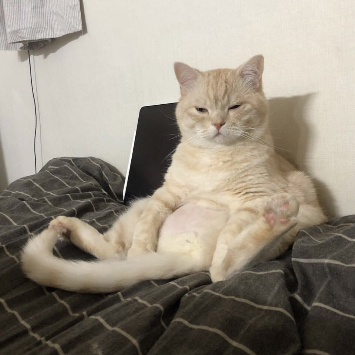 แจฮยอนทั้งหมด