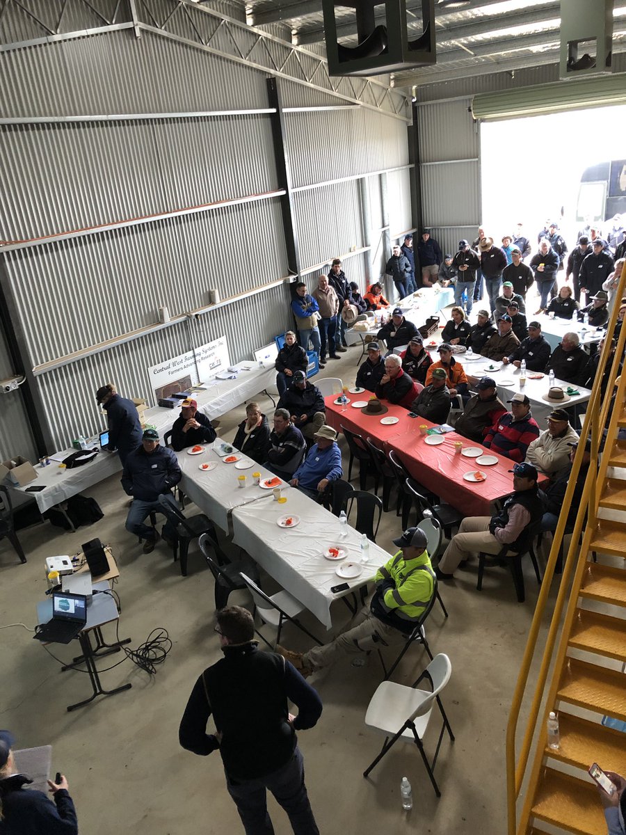 Great roll up for today’s field day <a href="/agnvet/">AGnVET</a> <a href="/CIngvordsen/">Cathrine H Ingvordsen</a> <a href="/CSIRO/">CSIRO</a> <a href="/GRDCNorth/">GRDC North</a> <a href="/theGRDC/">GRDC</a>