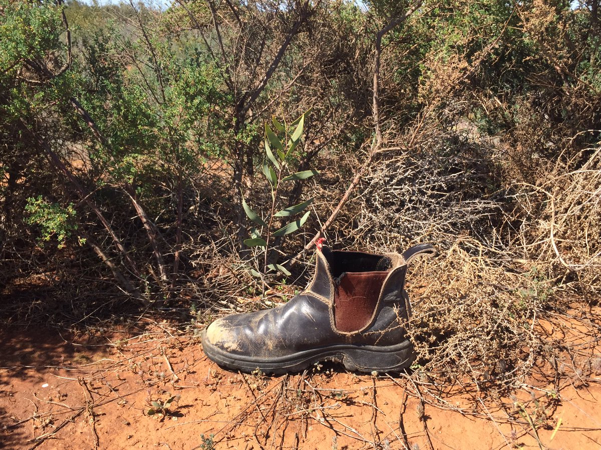 where to buy work boots locally